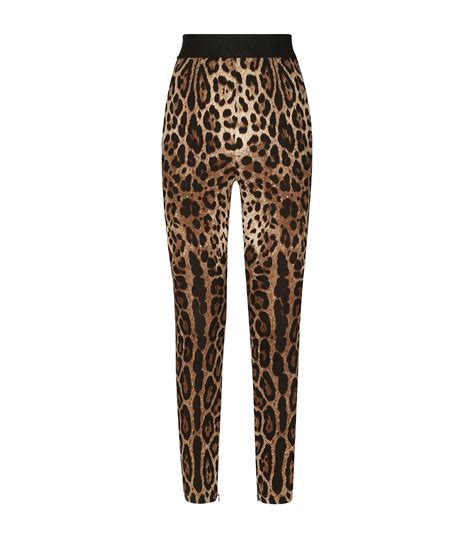 dolce and gabbana leopard leggings